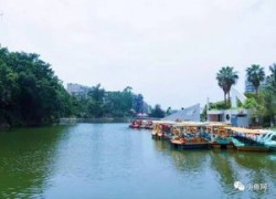 麓湖大桥牌五粮液多少钱，麓湖的桥