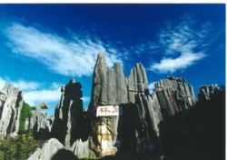 石林到五粮液有多远啊多少公里，石林到石林景区怎么坐车