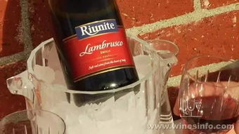 安琪酒曲酿五粮液多少钱，安琪酒曲官网