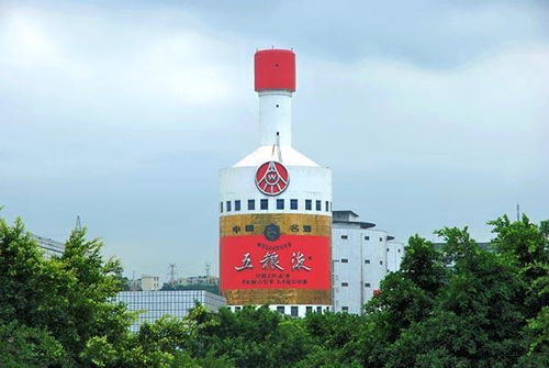 岳池有五粮液店吗多少钱，岳池五星级酒店