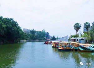 麓湖大桥牌五粮液多少钱，麓湖的桥