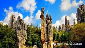 石林到五粮液有多远啊多少公里,石林到石林景区怎么坐车 石林到五粮液有多远啊多少公里,石林到石林景区怎么坐车