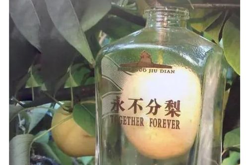 五粮液装多少钱一瓶,五粮液装多少钱一瓶酒 五粮液装多少钱一瓶,五粮液装多少钱一瓶酒