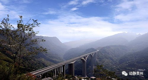 贵州高速每天放多少茅台,贵州高速节假日 贵州高速每天放多少茅台,贵州高速节假日