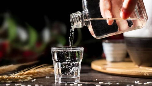 罗永浩买五粮液圣酒多少钱，罗永浩五粮梦